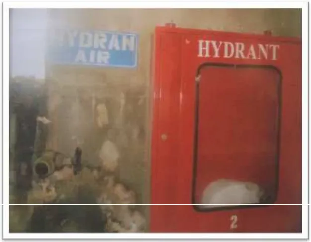 Gambar 5. Hydrant