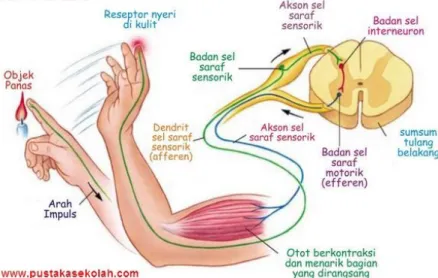 Gambar 1.2 diagram blok sisdal