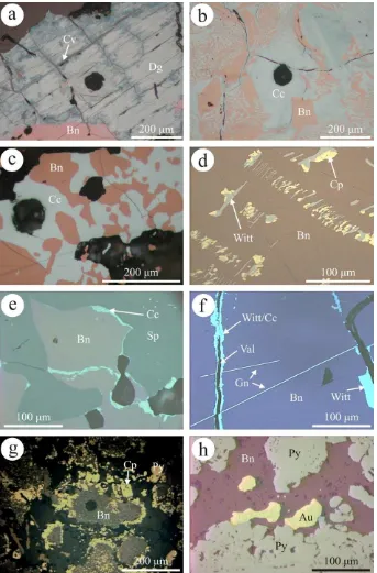 Fig. 1. Photomicrographs in reﬂected light. (a–c) Typical primary bornite–chalcocite associations in the Norwegian hypogene sulﬁde samples.Dark spots are LA-ICP-MS craters