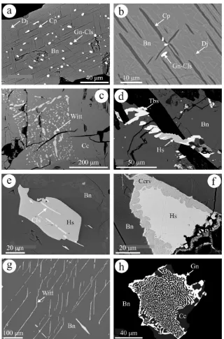 Fig. 2. Back-scattered electron images showing aspects of Scandinavian (a–f) and Baita Bihor skarn ores (g and h)