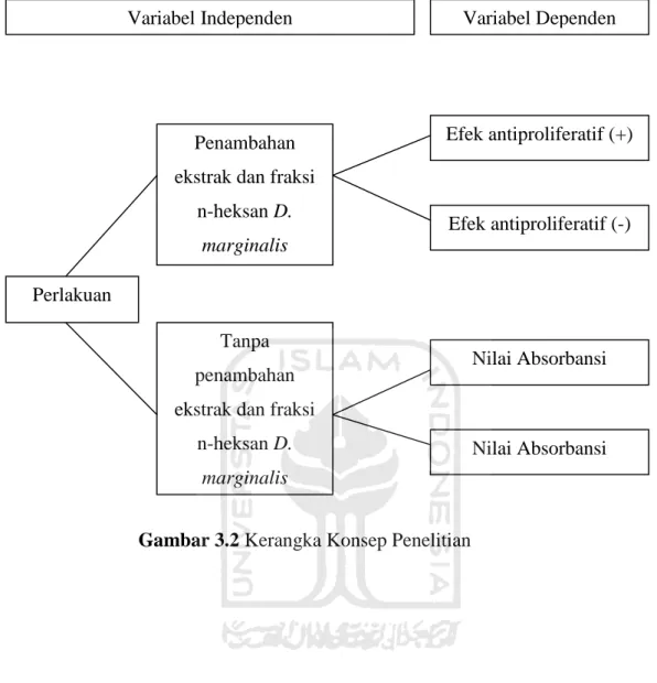Gambar 3.2 Kerangka Konsep Penelitian 