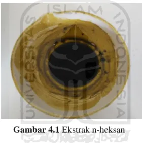Gambar 4.1 Ekstrak n-heksan 