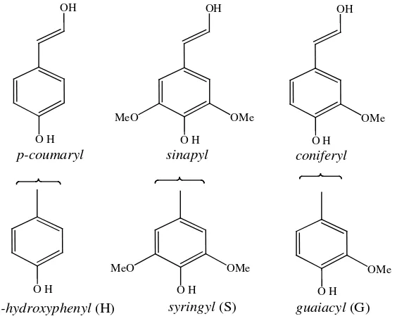 Gambar 2.1 Unit Penyusun Lignin menurut Lewis (1990) 