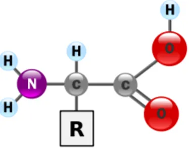Tablica 1.1: Imena aminokiselina zajedno s odgovaraju´cim oznakama