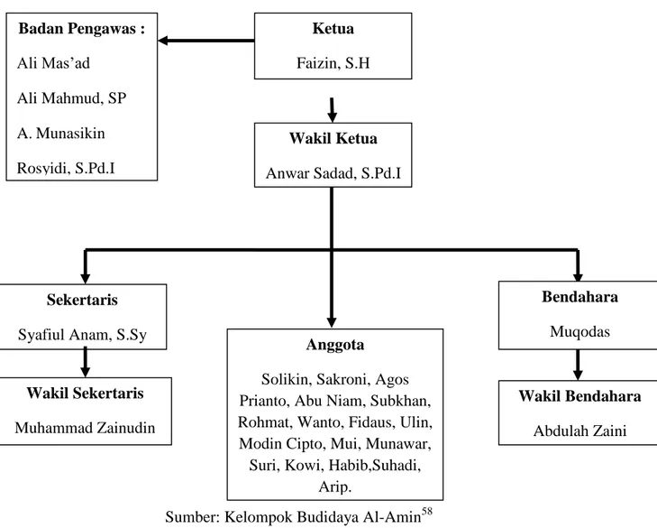 Gambar 1. Struktur organisasi Kelompok Budidaya Al-Amin 