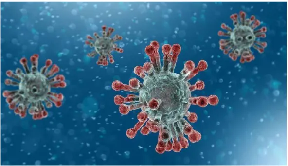 Gambar 2. Gambar Ilustrasi Struktur dan Bentuk Virus Corona 