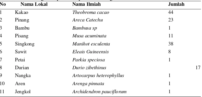 Tabel 10. Jenis Vegetasi  pada lain pada Lahan Agroforestri. 