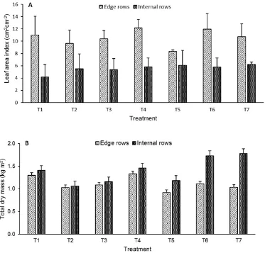 Fig. 1. Contrary efect of diferent frequency of fertilizer application on leaf area index (A) and total dry mass (B) on rice in internal and edge rows 4:1 planting system.