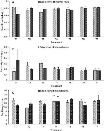 Fig. 2. Efect of diferent frequency of fertilizer application on shoot to root ratio (A), root weight ratio (B), and root length (C) on rice in internal and edge rows 4:1 planting system.
