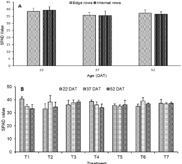 Fig. 3. SPAD value on rice in internal and edge rows in 4:1 planting system (A) and on crops treated with diferent time and frequency of fertilizer application (B)