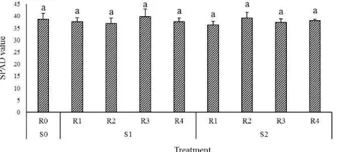 Fig 4.  N content of root (A), stem (B), leaf (C), and whole plant (D) of rice treated with biochar at different sizes and rate of applications