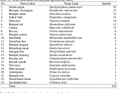 Tabel 10. Jenis tumbuhan bawah pada agroforestri karet 