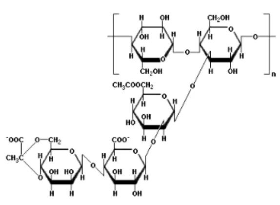 Gambar 1.  Struktur dasar xanthan gum (Zamora, 2005) 