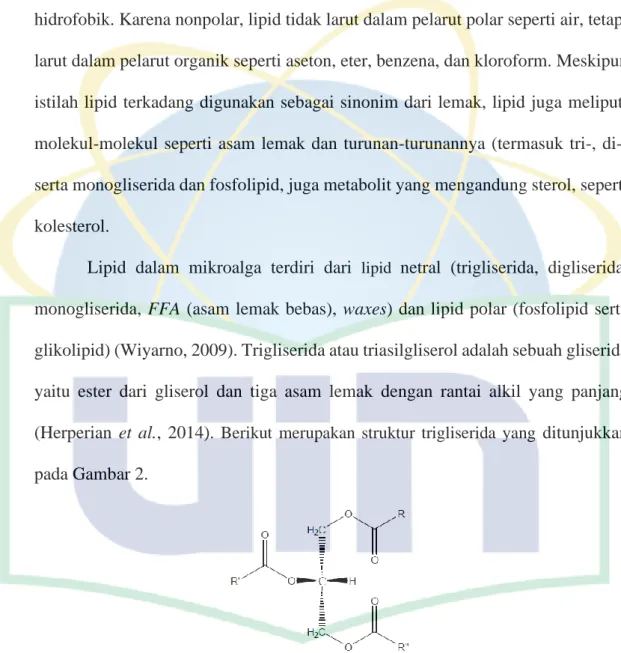 Gambar 2. Struktur molekul trigliserida 