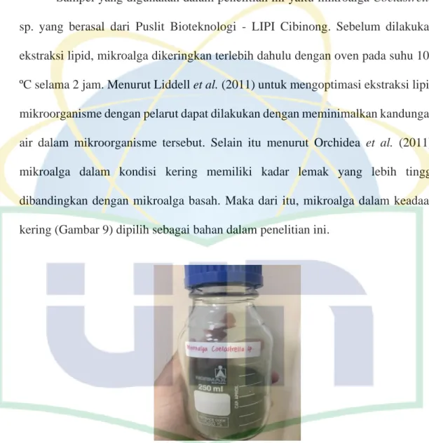 Gambar 9. Mikroalga Coelastrella sp. kering 