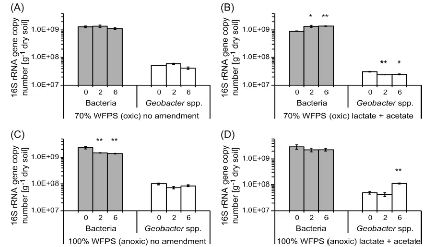 Figure 2. Number of totalat a 95% conmean of the gene copy numbers at the beginning of the experiment are signiWFPS microcosms in the absence (a) and presence of additional acetate and lactate (b) and 100% WFPS microcosms in the absence (c) andpresence of 