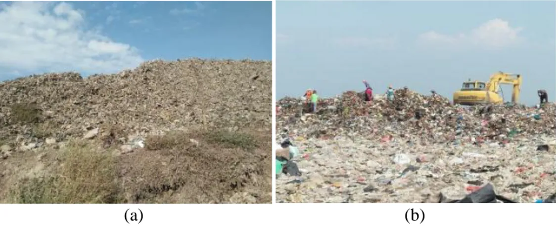 Gambar 2.3. Penumpukan sampah di TPA Griyomulyo, Jabon Sidoarjo.  Sumber: (Dokumentasi Pribadi, 2020)