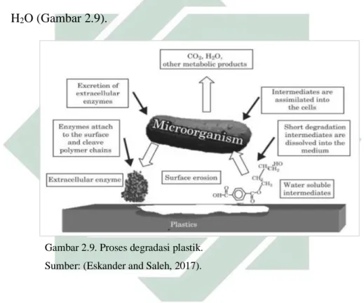 Gambar 2.9. Proses degradasi plastik.  Sumber: (Eskander and Saleh, 2017). 