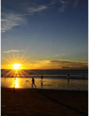 Gambar 6. Hamparan sawah nan  subur menuju pantai  Karya 6 Sunset Pantai Alas Pulaki,  2013 