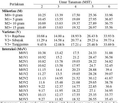 Tabel 2.  Tinggi tanaman (cm) 2 MST hingga 6 MST dengan Perlakuan mikoriza dan varietas 