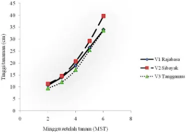 Grafik pertambahan tinggi tanaman kedelai dari umur 2 MST hingga        