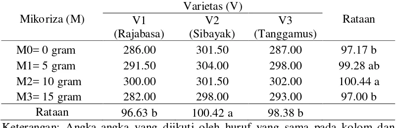 Tabel 7.  Umur panen (hst) dengan perlakuan mikoriza dan varietas 
