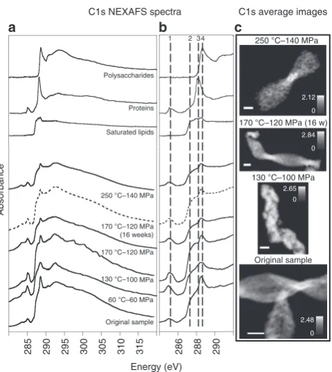 Figure 5 | Spectroscopic characterization by STXM-NEXAFS of