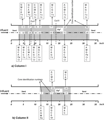 FIGURE 2. Phase identification in numbered samples along and across Columns I and II. The mineral phases were listed in the decreasing