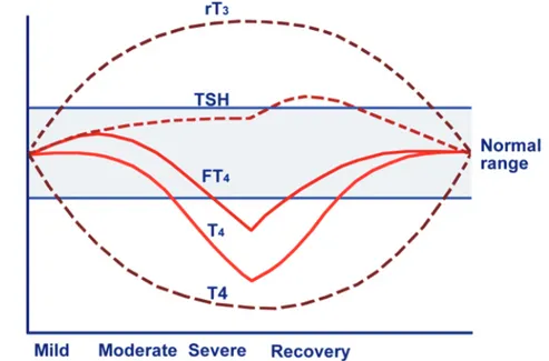 Gambar 1 Hubungan Konsentrasi Hormon Tiroid (rT3, TSH, FT4, dan T4) dengan                     Beratnya ESS 