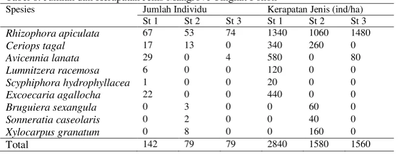 Tabel 6. Jumlah dan Kerapatan Jenis Mangrove Tingkat Pohon 