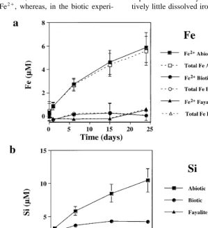 Fig. 6. a Total open symbols and reduced Fe filled symbols concentration for natural fayalite dissolution at initial pH 4 for the controlsŽlimit for the method.Ž ..Ž.ŽB
