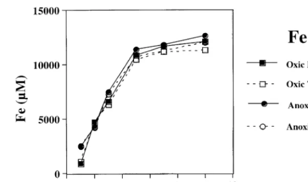 Fig. 7. Reduced and total Fe is solution from synthetic fayalite dissolution under oxic BŽ