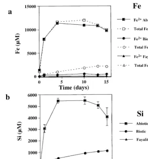 Fig. 1. a Total open symbols and reduced Fe filled symbols concentration for natural fayalite dissolution at initial pH 2 for the controlsŽ .Ž.Ž.ŽB