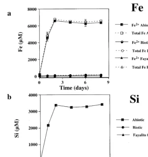 Fig. 2. a Total open symbols and reduced Fe filled symbols concentration for synthetic fayalite dissolution at initial pH 2 for theŽcontrolsŽ ..Ž.controls BŽ