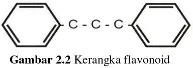 Gambar 2.3 Struktur dasar flavonoid 