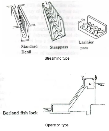Gambar tipe-tipe jalan ikan  