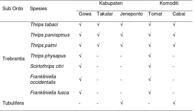 Gambar 1. keragaman spesies thrips yang berbeda pada Thrips yang dominan muncul dari setiap pengambilan sampel adalah tabacicukup banyak (tabel 2), pengambilan sampel pertama, kedua, juga muncul pada setiap pengambilan sampel, di ikuti oleh jumlah spesimen