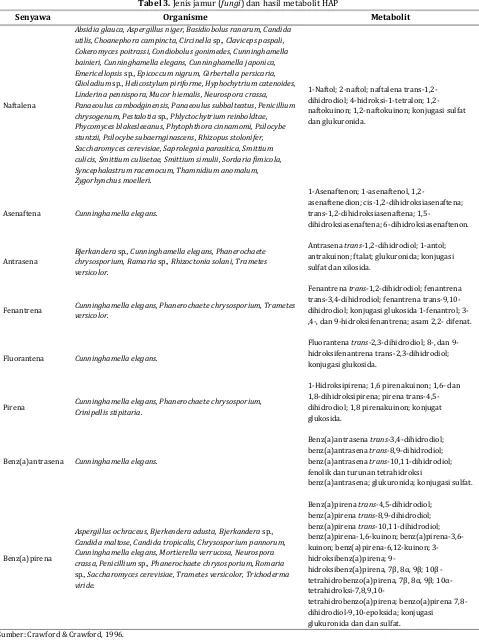 Tabel 3. Jenis jamur (fungi) dan hasil metabolit HAP 