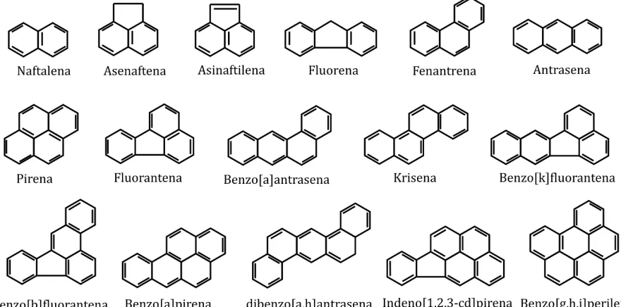 Gambar 1. Formula struktur HAP (Wick et al., 2011) 