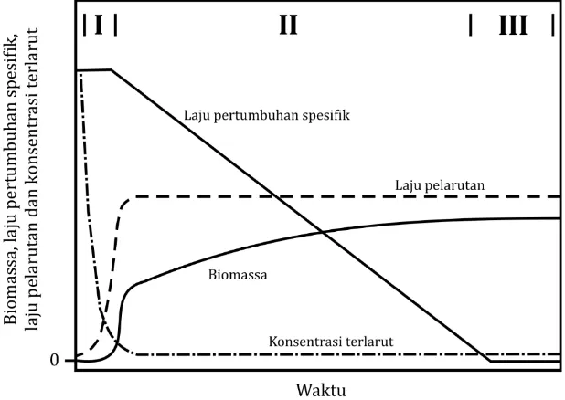 Gambar 2. Skematik biomassa, laju pertumbuhan spesifik, laju pelarutan HAP, dan konsentrasi kelarutan HAP dari peningkatan kultur batch bakteri pada HAP padatan (Johnsen et al., 2005) 
