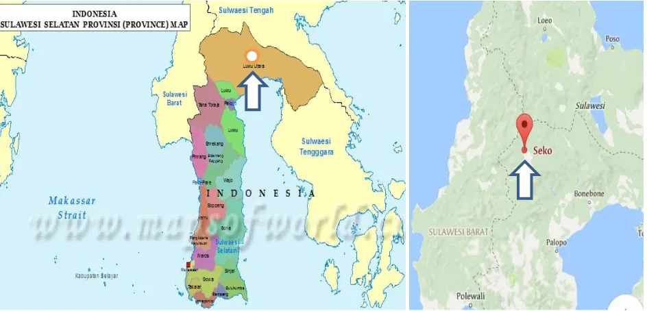 Gambar 1. Lokasi Penelitian Padi Lokal Seko Kabupaten Luwu Utara Sulawesi Selatan  