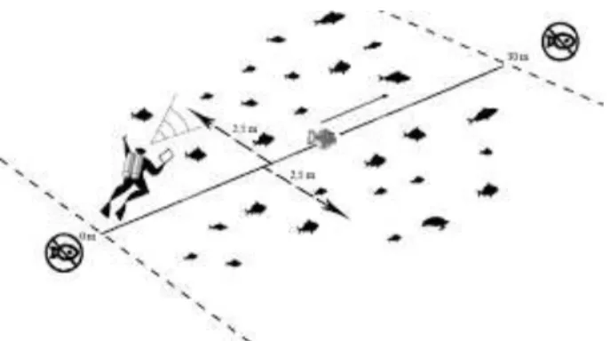 Gambar 3. Metode Visual Sensus  untuk Terumbu karang dan Ikan Karang 