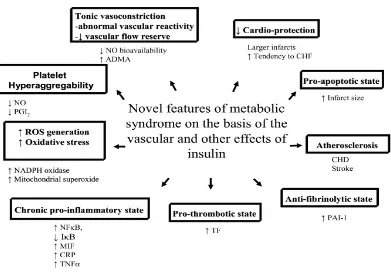Figure 1. Extension of metabolic syndrome on the basis of resistance to the novel actions of insulin