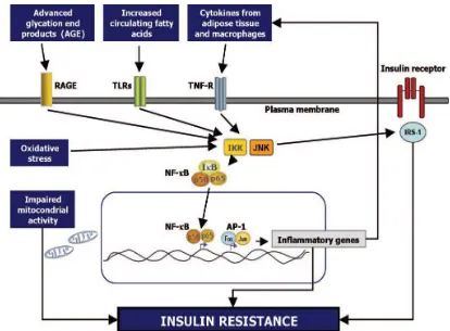 Gambar 2. Mekanisme molekular yang melibatkan insulin resistance  