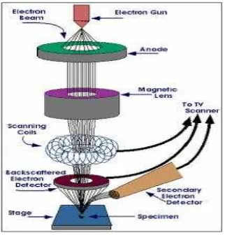 Gambar 13. Scanning Electron Microscope (SEM) (www.google.com) 