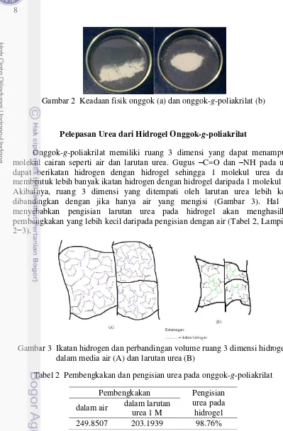 Gambar 2  Keadaan fisik onggok (a) dan onggok-g-poliakrilat (b) 