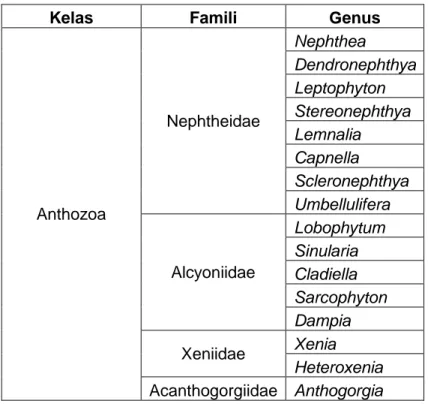 Tabel 2. Identifikasi Jenis Karang Lunak 