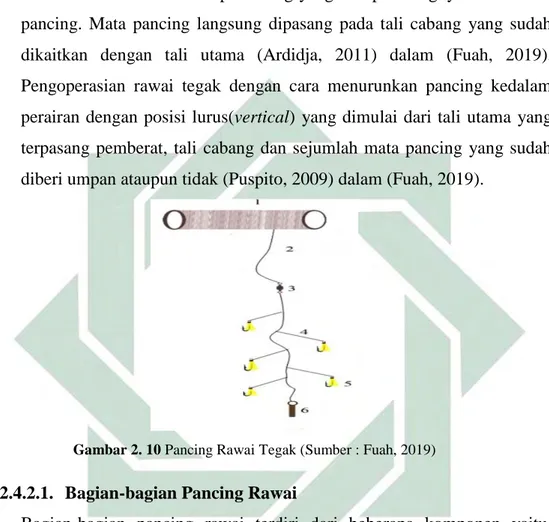 Gambar 2. 10 Pancing Rawai Tegak (Sumber : Fuah, 2019) 