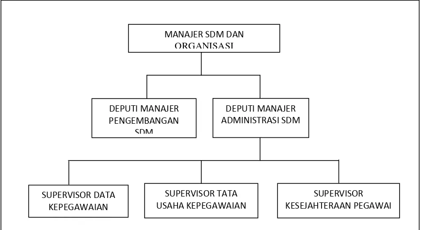 Gambar 3.1 Struktur Organisasi SDM 
