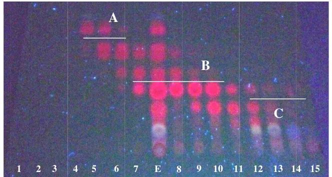 Gambar 1. Prrofil kromatoggrafi hasil frakB: semksinasi UV 36mipolar, C: po66 (botol 1-15, olar) E : ekstrak, AA: non polar, 